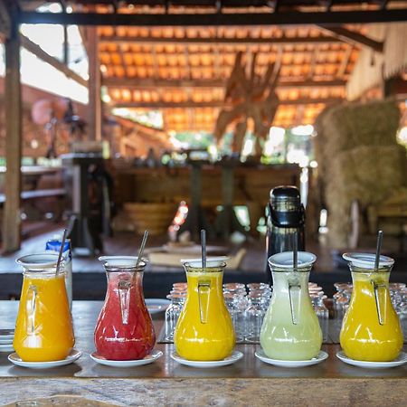 Hotel Fazenda Igarapés Kültér fotó