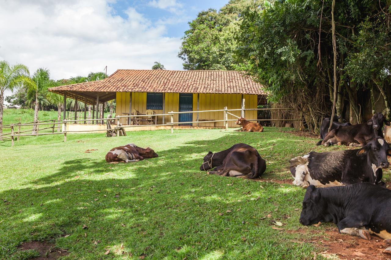 Hotel Fazenda Igarapés Kültér fotó